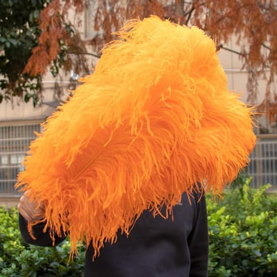 10 STUKS Rode Struisvogelveren Bulk 15-60CM Natuurlijke Veren Voor Knutselen Bruiloft Feest Tafeldecoraties Decoratie Carnaval Plumas 15-20CM 6-8INCH oranje