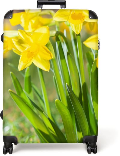 NoBoringSuitcases.com® - Koffer groot - Reiskoffer lichtgewicht - Bloemen - Narcis - Geel - Lente - Natuur - Rolkoffer met 4 wielen - Grote trolley XL - 98 liter bagage