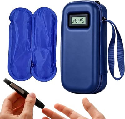 Thermoskoelbox - Geïsoleerde tas - Temperatuurcontrole - Digitaal display - 22 x 10 x 6 cm - Blauw