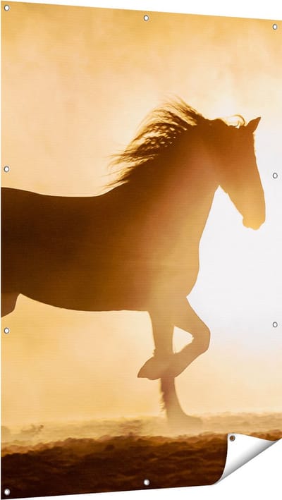 Gards Tuinposter Silhouet van een Paard - 100x150 cm - Tuindoek - Tuindecoratie - Wanddecoratie buiten - Tuinschilderij