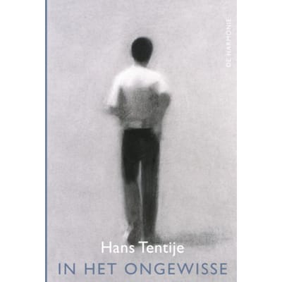 In Het Ongewisse - Hans Tentije