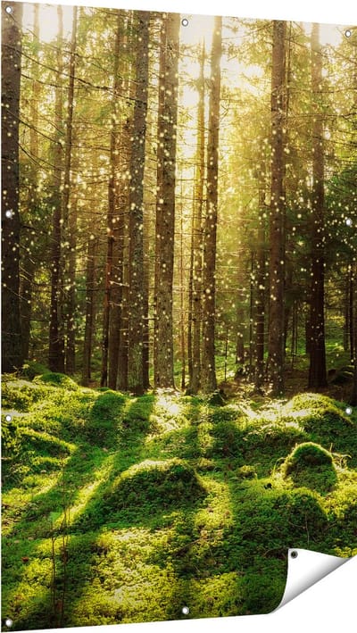 Gards Tuinposter Bos met Groen Mos op de Grond - 100x150 cm - Tuindoek - Tuindecoratie - Wanddecoratie buiten - Tuinschilderij