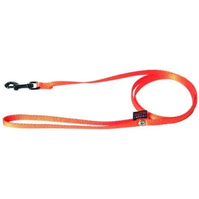 Hondenriem classic nylon Martin Sellier XS