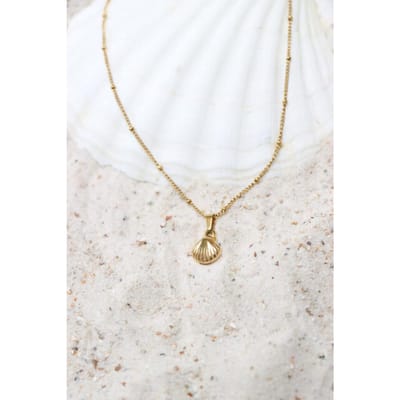 Label Kiki We shell sea necklace gold