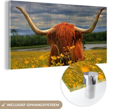 MuchoWow® Glasschilderij 40x20 cm - Schilderij acrylglas - Schotse Hooglander - Dieren - Bloemen - Foto op glas - Schilderijen