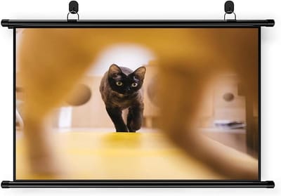 Projectiescherm - Film Scherm - Thuisbioscoop Creëren - 4K HD Ondersteuning - 72 Inch - Zwart