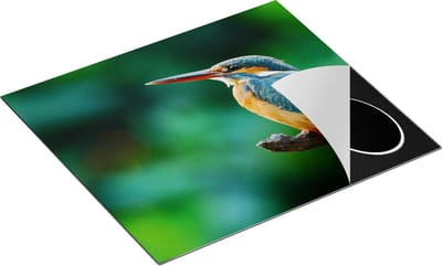 Chefcare Inductie Beschermer Blauw Oranje IJsvogel op een Tak - 60x50 cm - Afdekplaat Inductie - Kookplaat Beschermer - Inductie Mat