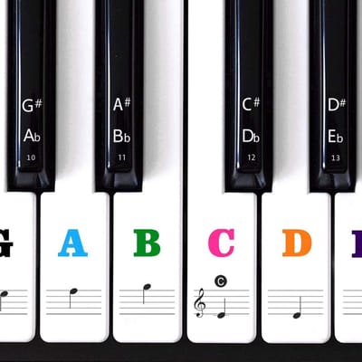Piano Toetsenbord Stickers - Muzieknoten Stickers - Beginners Leren Spelen - Transparant Zonder Residuen - 88/61/54/49/37 Toetsen - Kleurrijk