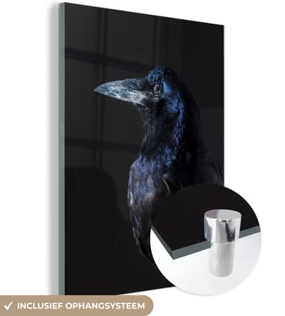 MuchoWow® Glasschilderij 120x160 cm - Schilderij acrylglas - Vogel - Dieren - Zwart - Foto op glas - Schilderijen