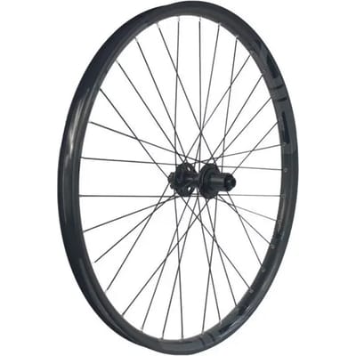 Gtr Sl35 E-bike Boost 29´´ Disc 6b Tubeless Mtb Achterwiel Zilver 12 x 148 mm / Shimano Micro Spline