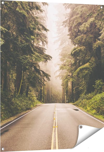 Gards Tuinposter Highway in Californië Omring met Bos - 80x100 cm - Tuindoek - Tuindecoratie - Wanddecoratie buiten - Tuinschilderij