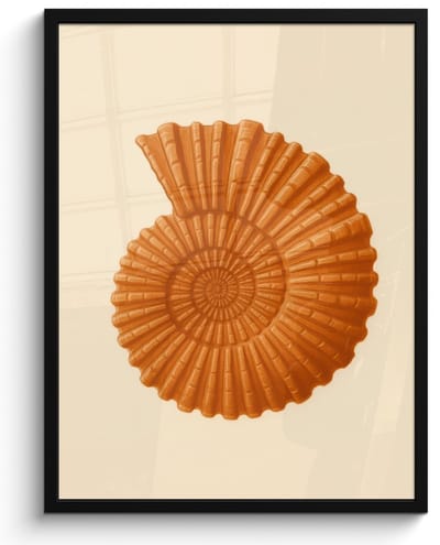 Poster in lijst - Fotolijst 50x70 cm - Posters - Schelp - Oranje - Ribbels - Posterlijst zwart - Decoratie - Wanddecoratie woonkamer - Muurdecoratie slaapkamer