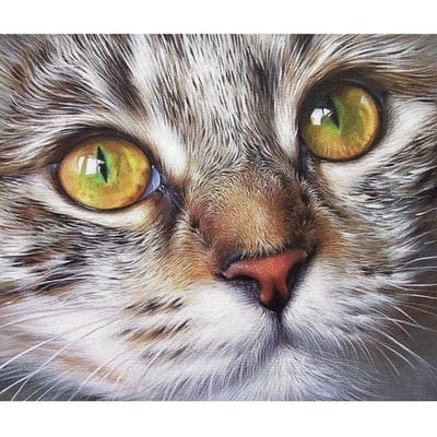 Diamant Borduurwerk 5D Doe-het-zelf Diamantschilderij Honden Kruissteek Kat 100% Volledig Strass 20X30CM gray