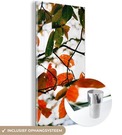 MuchoWow® Glasschilderij 20x40 cm - Schilderij acrylglas - Herfst - Bladeren - Landelijk - Seizoenen - Foto op glas - Schilderijen