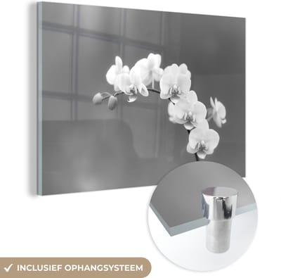 MuchoWow® Glasschilderij 30x20 cm - Schilderij acrylglas - Orchidee - Bloemen - Plant - Wit - Paars - Foto op glas - Schilderijen
