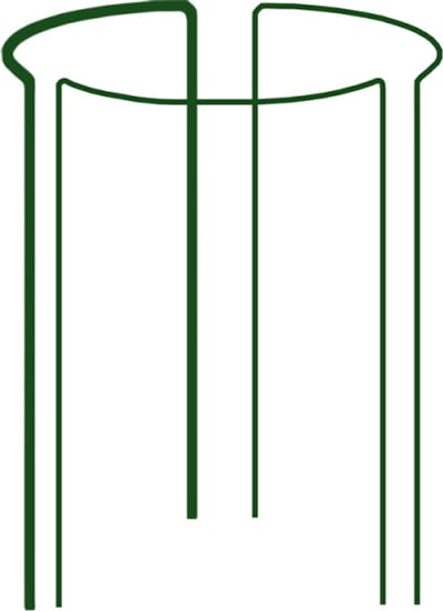 Bradas - Plantensteun - Ringvorm - Modulaire Constructie - Staal