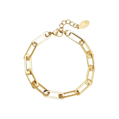 Armband Rechthoekige Schakels | Goud