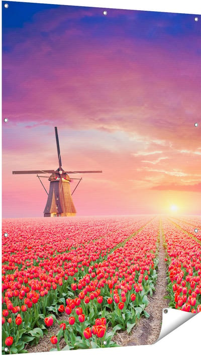 Gards Tuinposter Rode Rozen Bloemenveld met een Windmolen - 100x150 cm - Tuindoek - Tuindecoratie - Wanddecoratie buiten - Tuinschilderij