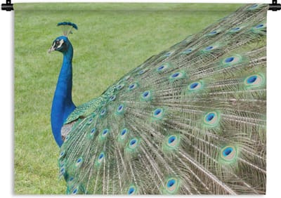 Wandkleed - Wanddoek - Pauw - Vogel- Patroon - 150x112 cm - Wandtapijt