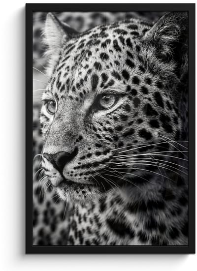Poster in lijst - Fotolijst 40x60 cm - Posters - Luipaard - Zwart - Wit - Oog - Posterlijst zwart - Decoratie - Wanddecoratie woonkamer - Muurdecoratie slaapkamer