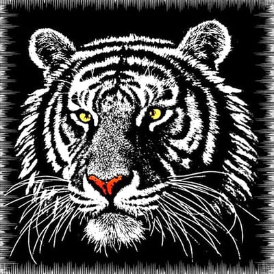 Cross Stitch Kit DIY Diamond Borduren Tijger hoofd Diamond Schilderen Mozaïek Home Decor 20X30CM gray