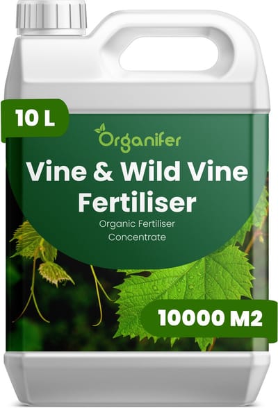 Vloeibare Meststof Voor Wijnstok En Wilde Wijnstok - 10 L Voor 10000 M2 - Npk 2-1-8 - Bevordert De Langdurige Vitaliteit En Stabiliteit Van De Plant - Verbetert De Bloei - De Bessenontwikkeling En De Natuurlijke Voortplanting - Organifer