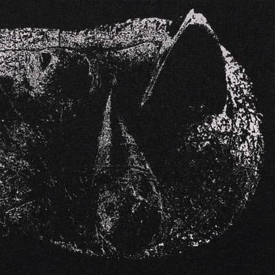 Demon Head - Viscera (LP)
