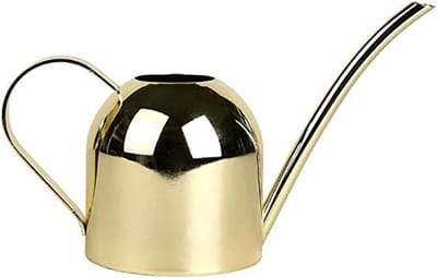 Roestvrijstalen Gieter - Gietkan Pot - Kamerplanten Water Geven - Lange Dunne Tuit - 500 ml - Goud