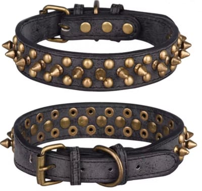 Luxe Leren Hondenhalsband met Studs | Honden Halsband met Gouden Studs | Zwart | Maat S | Premium Studs Hondenhalsband | Petshop Seven®