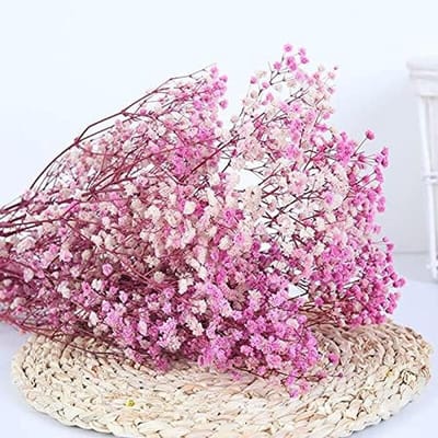 Gedroogde Bloem - Adem Bloem Boeket - Huis Decoratie - Natuurlijk Gedroogd - 15-30cm 20g - Roze Paars