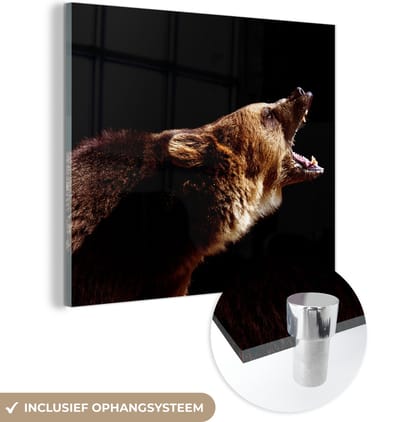 MuchoWow® Glasschilderij 50x50 cm - Schilderij acrylglas - Beer - Wild dier - Tanden - Foto op glas - Schilderijen