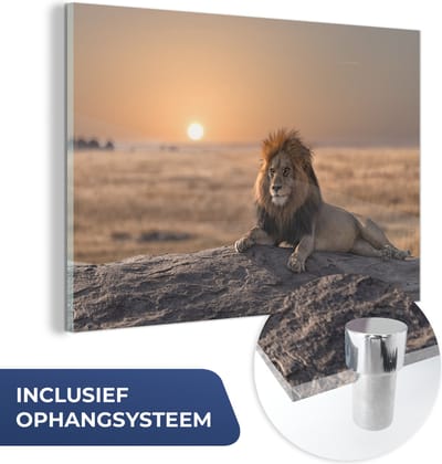MuchoWow® Glasschilderij 30x20 cm - Schilderij acrylglas - Leeuw - Zon - Afrika - Foto op glas - Schilderijen