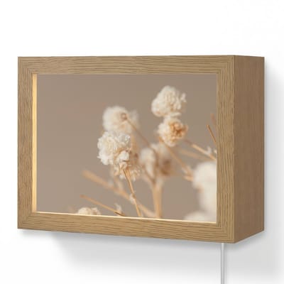 Wandlamp 20x15 cm - Oplaadbaar - Bloemen - Wit - Natuur - Pastel - Wandlampen binnen woonkamer - Slaapkamer lamp met kabel - Decoratieve nachtlamp - Vloerlamp snoer