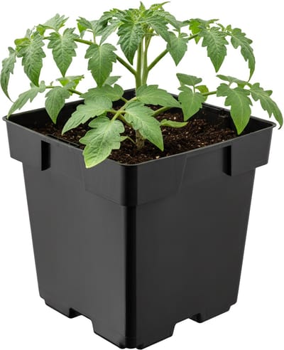 Garronda Vierkante kunststof bloempot met drainagegaten voor tuin (Zwart, 14 x 14 x 14 cm (2L)) GD-KW-S