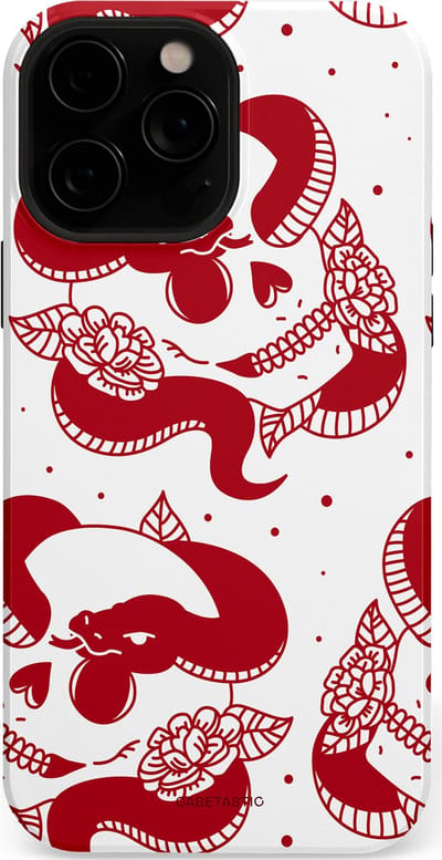 Casetastic Hoesje Geschikt voor Apple iPhone 13 Pro Magsafe - Stijlvolle Beschermende Duo-layer Case - Beet van de nacht