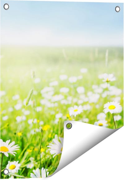 Gards Tuinposter Bloemenveld van Madeliefjes - Bloemen - 40x50 cm - Tuindoek - Tuindecoratie - Wanddecoratie buiten - Tuinschilderij
