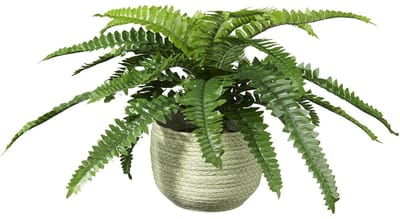 Kunstplant Nephrolepis H35cm in mand groen – HTT Decorations kunstplanten
