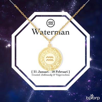 Bixorp Stars Sterrenbeeld Ketting Waterman / Aquarius - Stainless Steel Medailon met Goud Verguld - 45cm Ketting met Zodiac Hanger - Inclusief Cadeau Verpakking