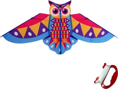 Bovista Vlieger Voor Strand - Kite Vliegers - Kindervlieger - Uil - Blauw