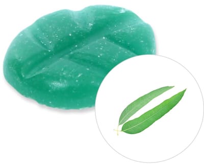 Scentchips® Eucalyptus - Geurblokjes - Huisparfum - Geurchips - Waxmelts - Geschikt voor Geurbrander en Waxbrander - M - 13 Stuks