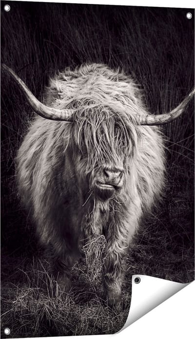 Gards Tuinposter Schotse Hooglander Koe - Zwart Wit - 60x90 cm - Tuindoek - Tuindecoratie - Wanddecoratie buiten - Tuinschilderij