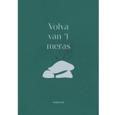Volva Van - Carolien De Boo - de Vries