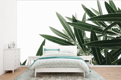 Behang - Fotobehang Natuur - Planten - Bladeren - Breedte 295 cm x hoogte 220 cm