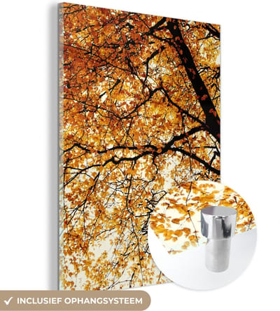 MuchoWow® Glasschilderij 30x40 cm - Schilderij acrylglas - Boom - Herfstbladeren - Seizoenen - Landelijk - Foto op glas - Schilderijen