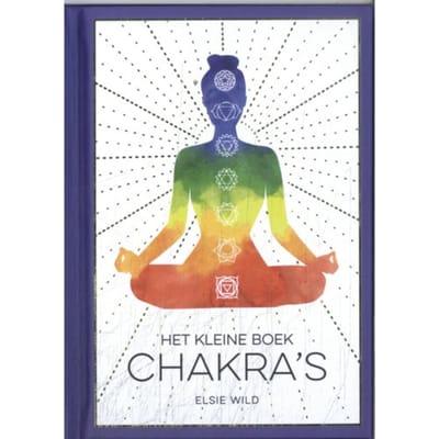 Het Kleine Boek Chakra's - Ellen Ricks