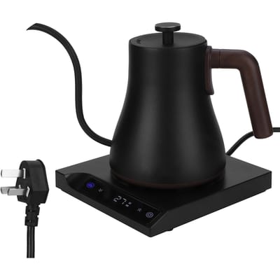 Bouilloire Électrique 600ML Bec Fin Théière Électrique Bouillante Cafetière à Verser noir