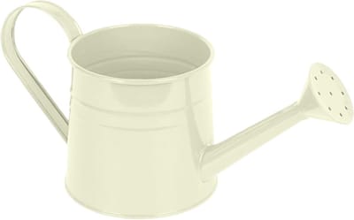 Metalen gieter - Vintage gietertje - Planten water geven - Verlengd mondstuk - 1 Liter - Wit