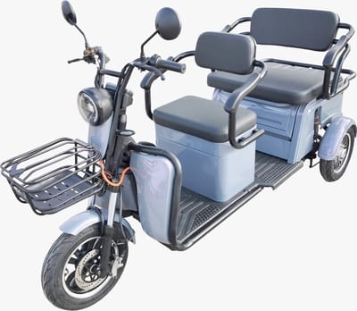EcoWheels Elektrische driewieler - 2 stoelen - 50 km bereik - RDW-goedgekeurd