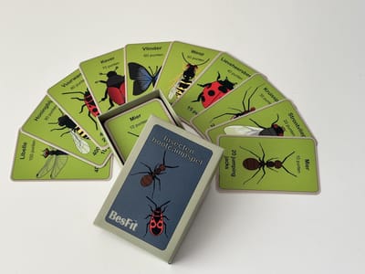 Bootcamp insectenspel - Beweegspellen - Bootcamp - Bootcampspel