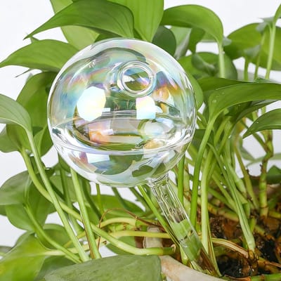 SnelShoppen - 150 ml Navulbare Waterballen voor Planten en Bloemen - Glazen Waterdispenser voor Irrigatie met Verdamping Bescherming - Perfect voor Tu